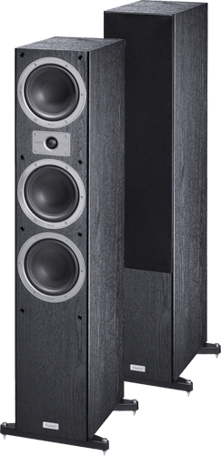 Tempus 77